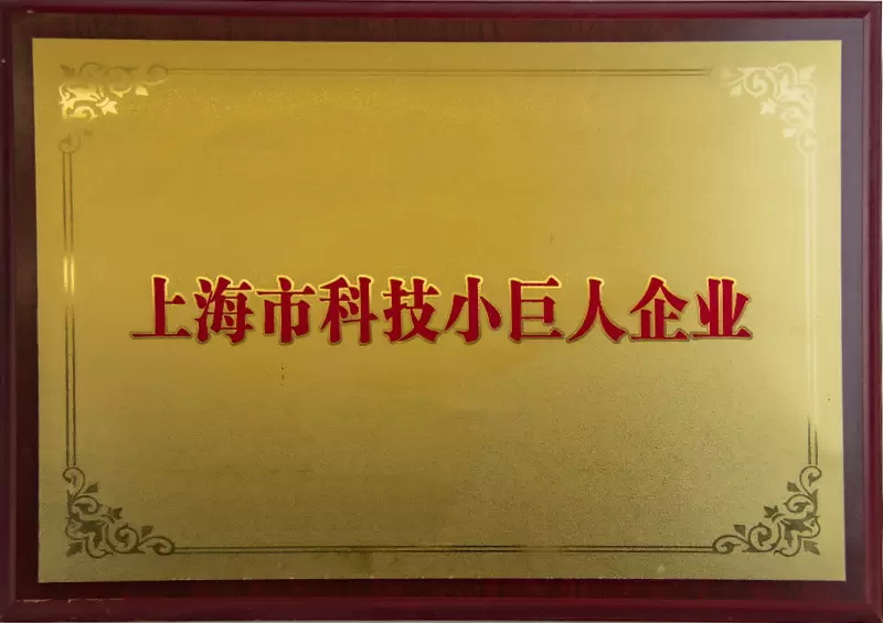 科(ke)技(ji)小(xiǎo)巨人(ren)齊(qi)業